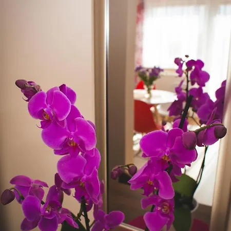 Ewa Goscinne * Mieroszyno