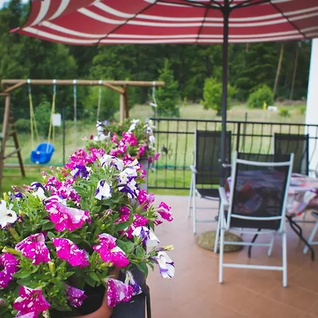 Ewa Goscinne Mieroszyno