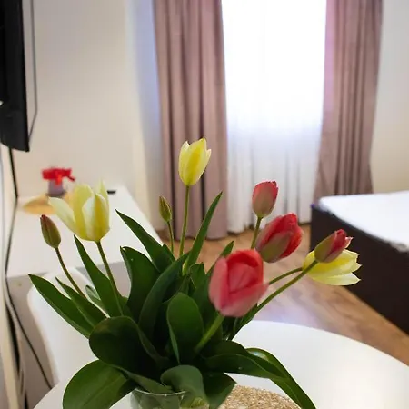 Ewa Goscinne * Mieroszyno